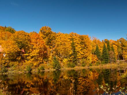 Chalet à louer - Lanaudière - Le Chevreuil - Mini chalet Mandeville 3