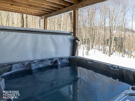 Chalet à louer - Cantons-de-l'Est - Venus