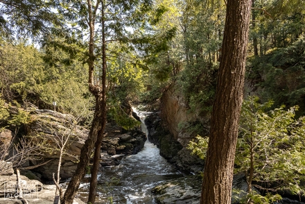 Chalet à louer - Cantons-de-l'Est - Le Paradis de la Chute Secrète - photos