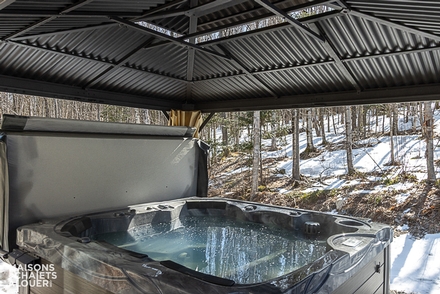 Chalet à louer - Cantons-de-l'Est - Artemis - photos